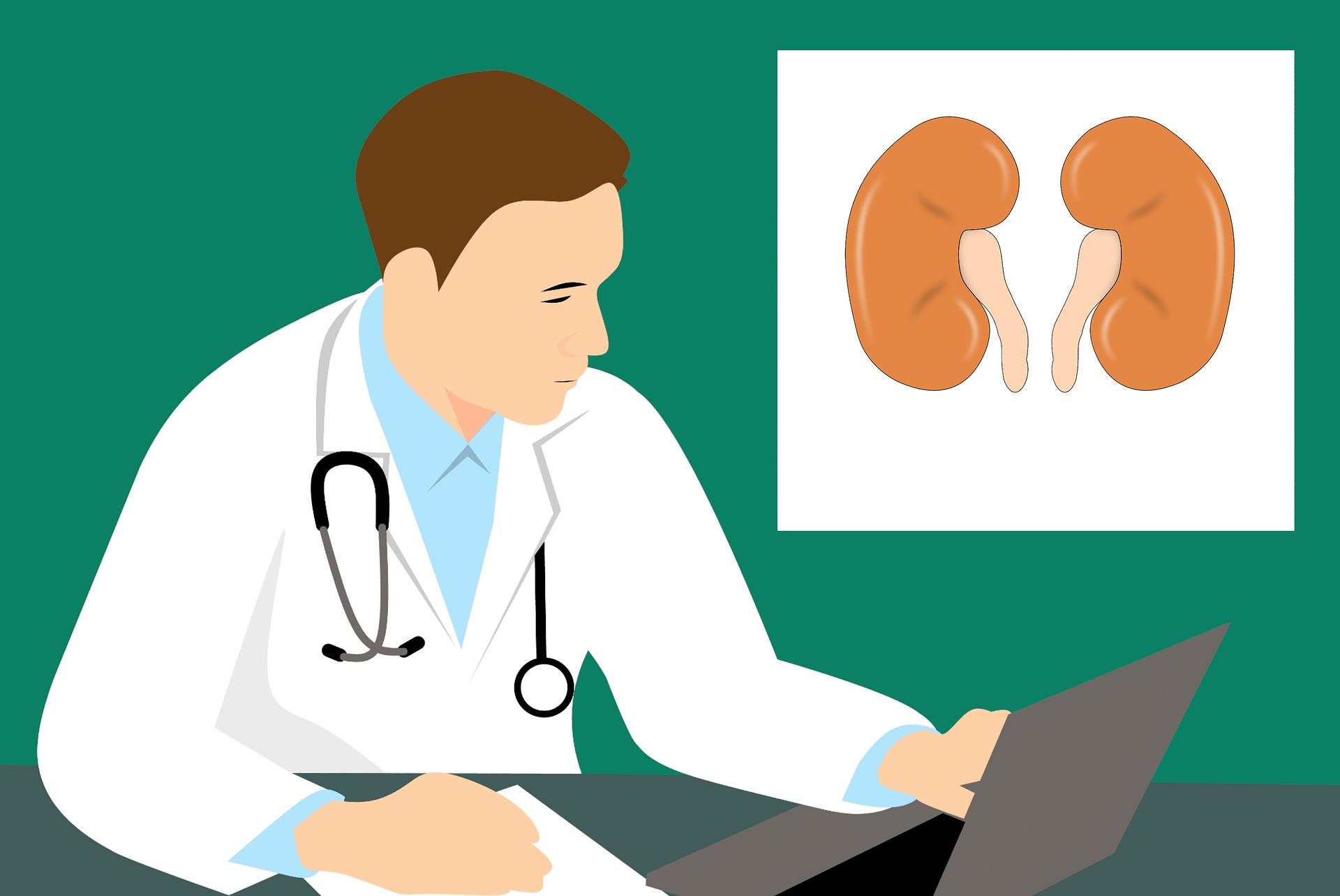 kidney transplant clipart